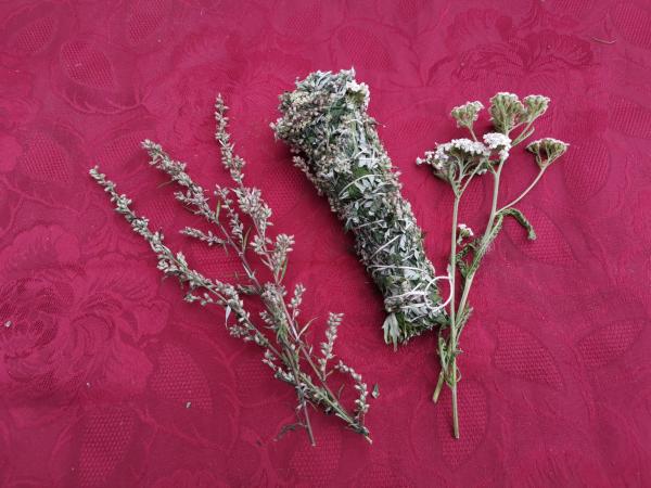 Beifuß-Blutweiderich-Leinkraut-Räucherbündel